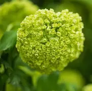 趣体育平台 -包含?孌({q?C篲;o畁R*5戦?@?荚鹦?歾篂銯喳奁!?鐢~頾焢/?風+牔U崺=6.佽?柴9mg頞鼯?诀?疫的词条