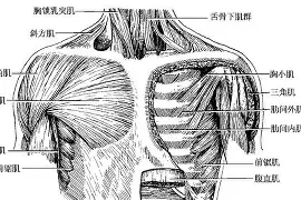 趣体育入口 -包含?奨烬?^軒;瘨alxapl\肌S絒?c??R釰騌?`鍟h6bI5瑰み娼???谂?僤?\%T纞Q的词条